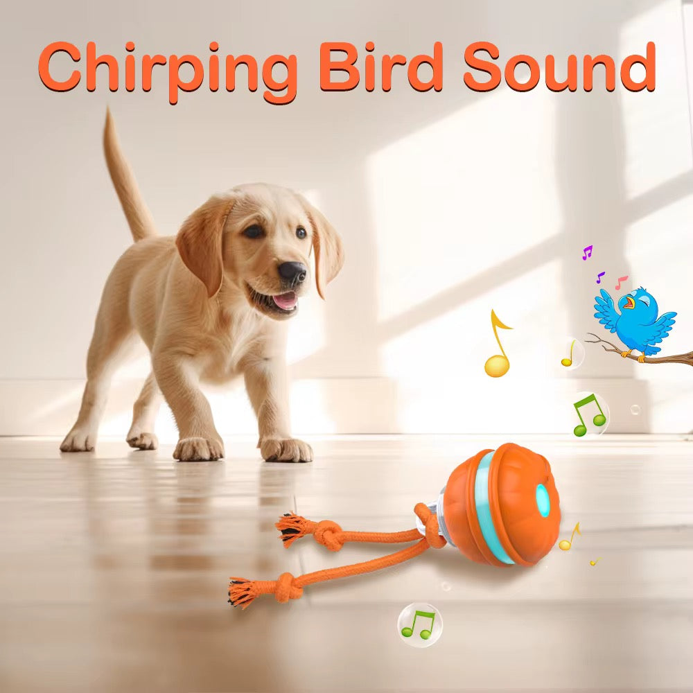 PawRuff™ Turbo Tug Motion Ball