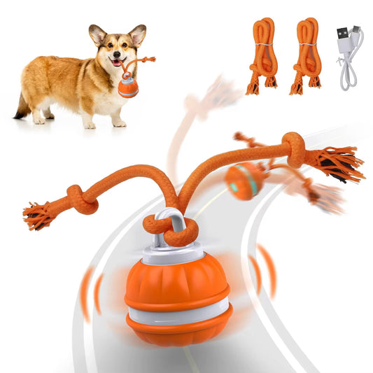 PawRuff™ Turbo Tug Motion Ball