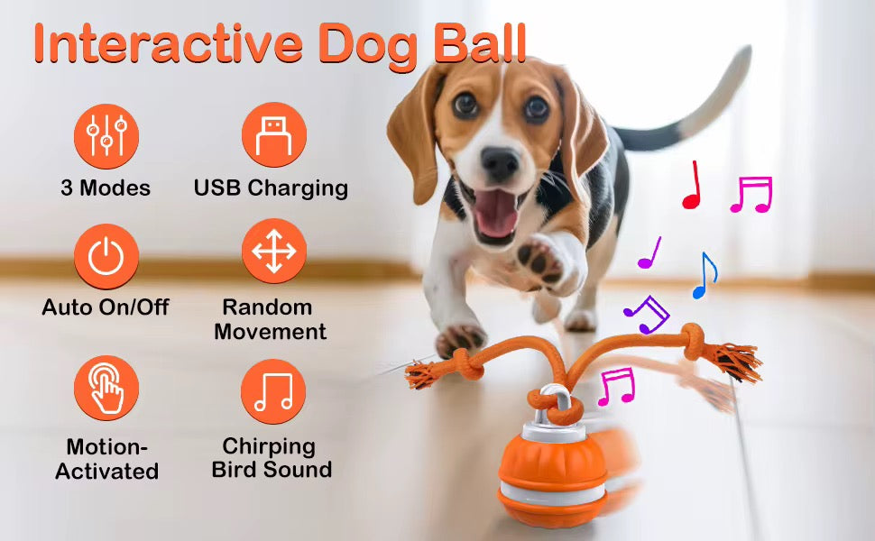 PawRuff™ Turbo Tug Motion Ball
