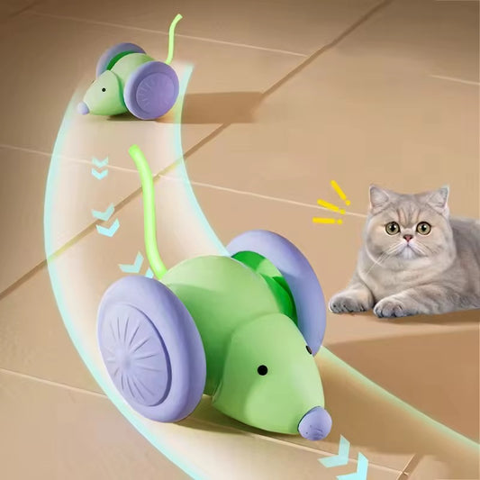 WhiskerChase™ Interactive Mouse Toy