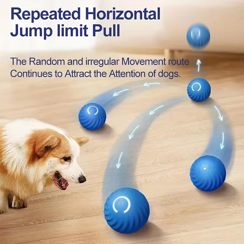 Smart Rolling Dog Toy Ball