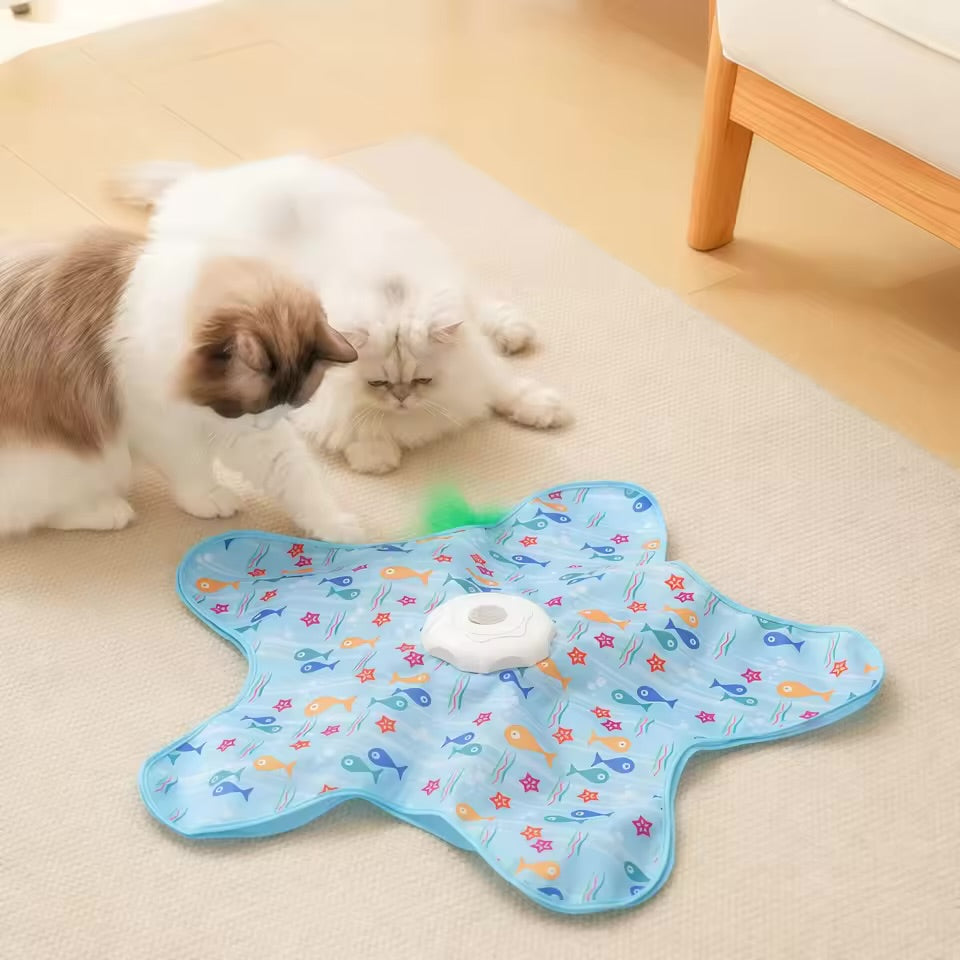Hide & Sneak™ Interactive Cat Toy