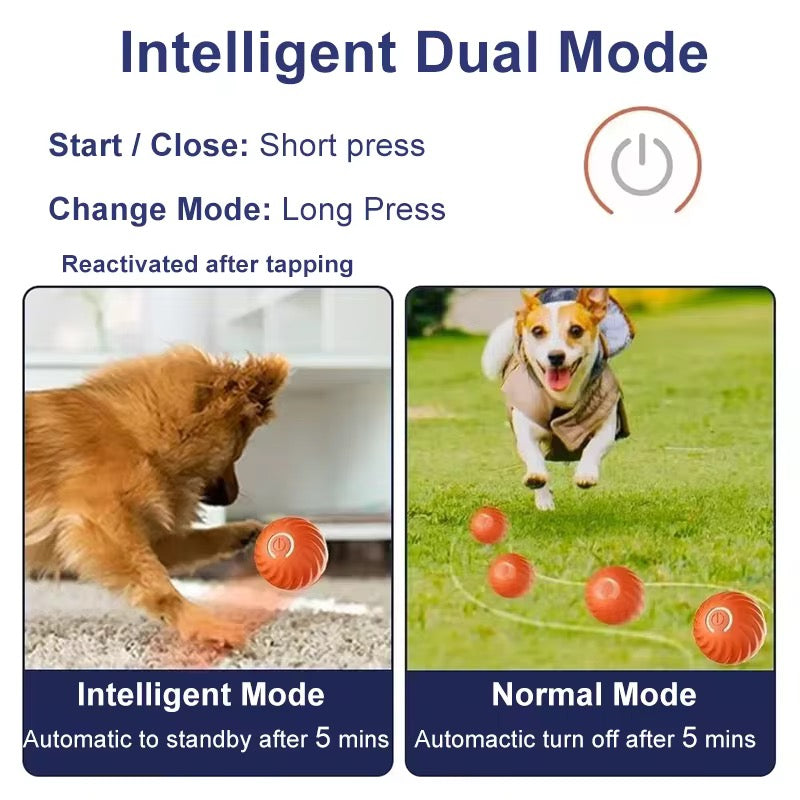 Smart Rolling Dog Toy Ball