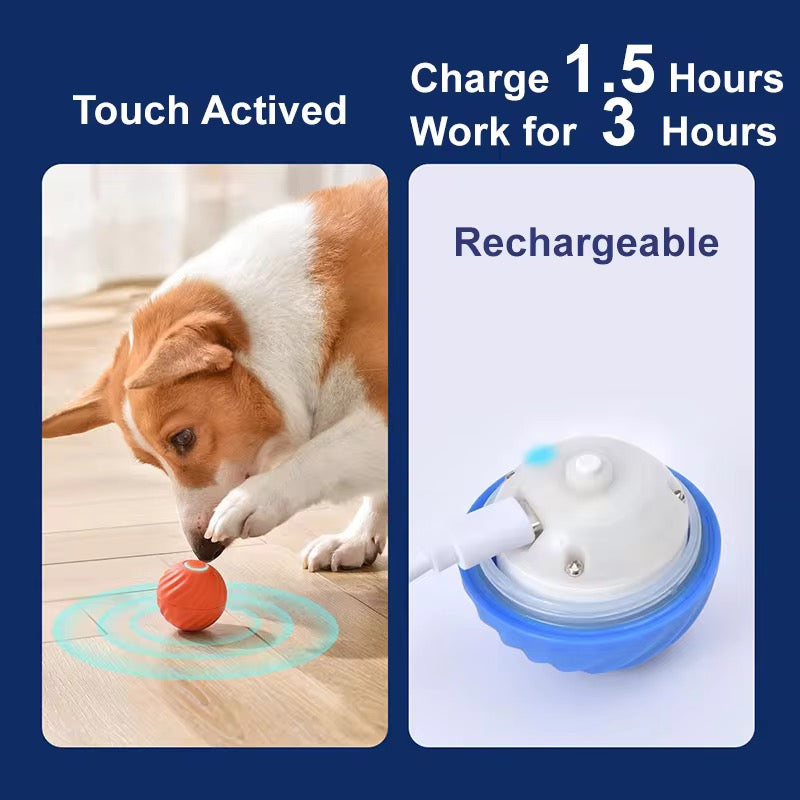 Smart Rolling Dog Toy Ball